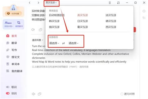 如何在有道翻译词典中查看卡牌效果的英文解释？
