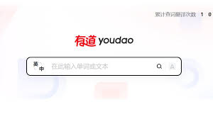 怎样用有道翻译词典快速看懂英文版的运动损伤康复？