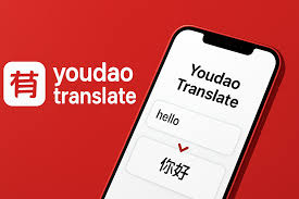 有道翻译词典支持查询解剖学方位术语吗？