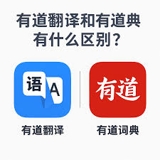 为什么UI设计师用有道翻译词典查Material Design指南？