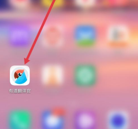 怎样用有道翻译词典辅助阅读英文版的板块构造学？