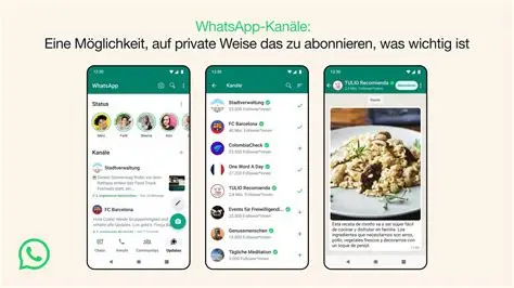 电脑玩WhatsApp全攻略:比手机更方便的5个技巧